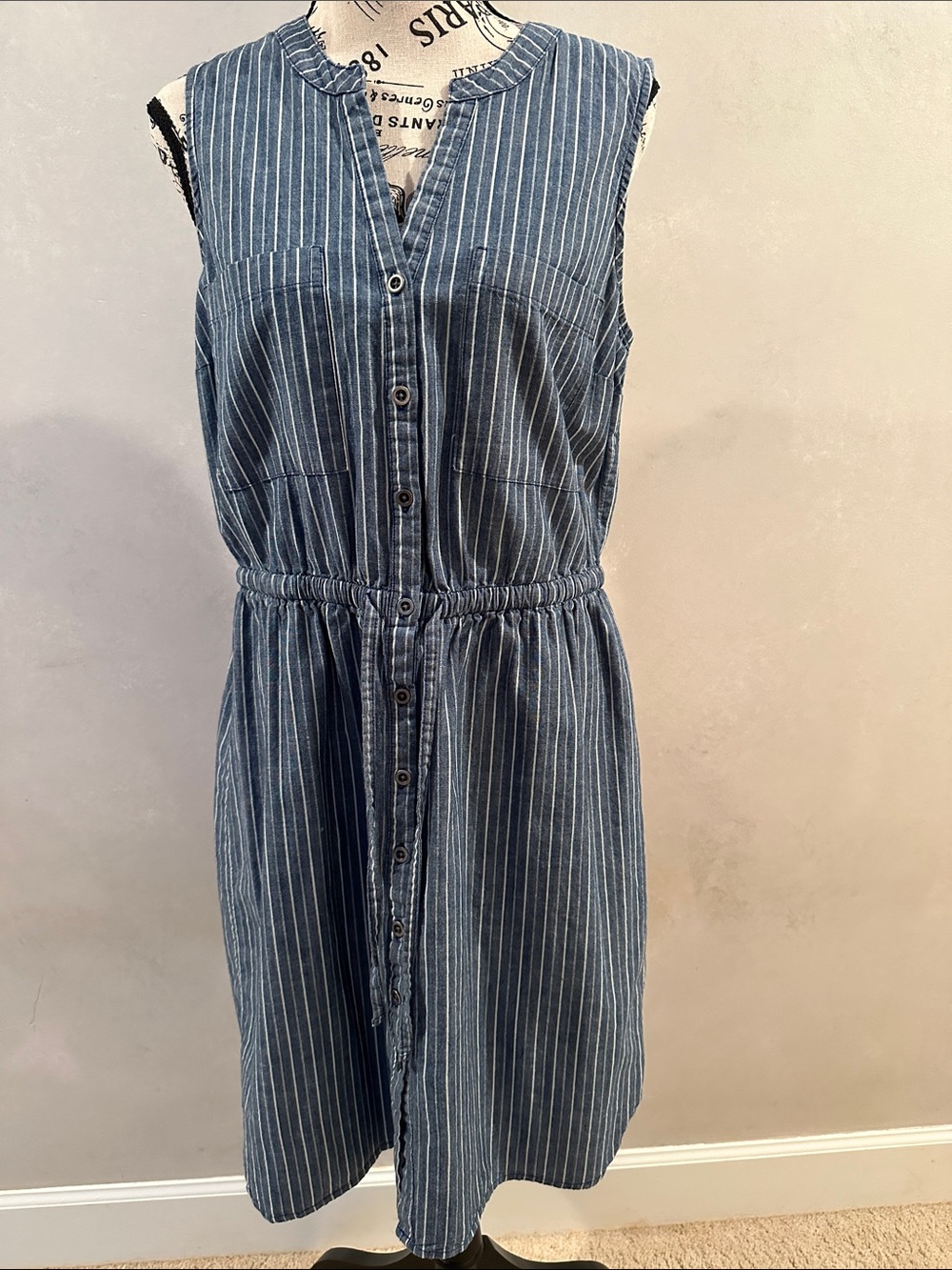 Old Navy Blue and White Sleeveless Pinstripe Button-Front Midi Dress